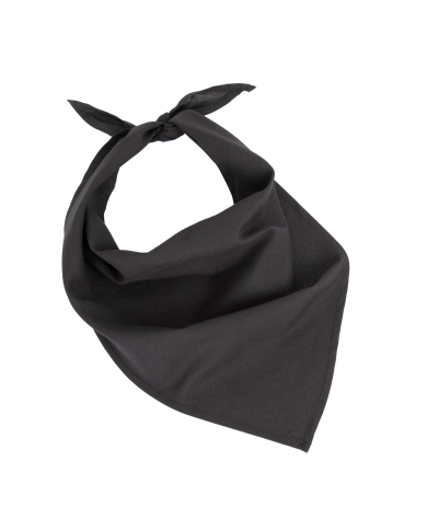 Fiesta - Bandana