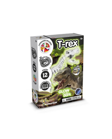 Fossil Excavation Kit I. Jeu éducatif pour enfants