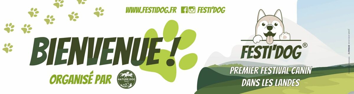 Création de l’Identité Visuelle pour le Festidog : Premier Festival Landais dédié aux Chiens 4