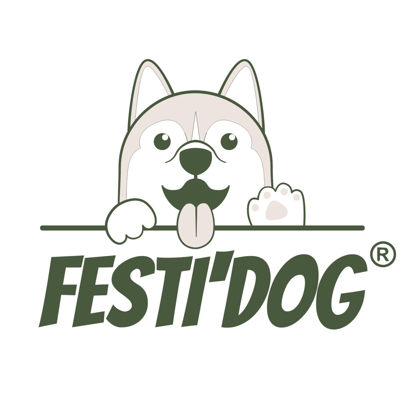 Création de l’Identité Visuelle pour le Festidog : Premier Festival Landais dédié aux Chiens