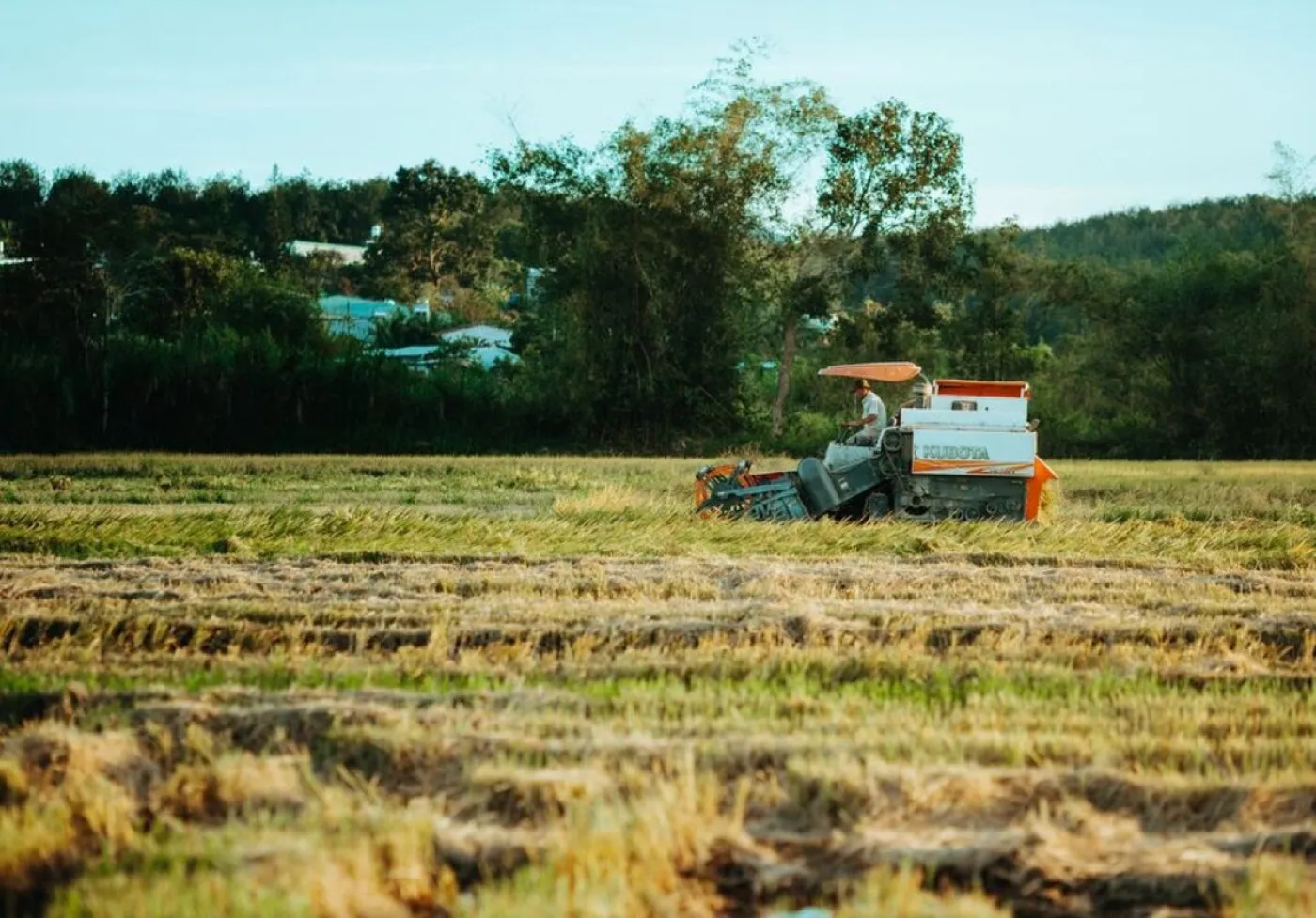 Imprenta productores agroalimentarios Gers — 2M Numérique