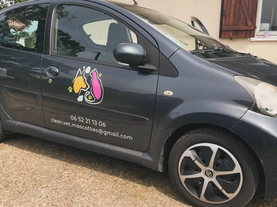 Soportes de comunicación coloridos para un servicio de peluquería canina itinerante 4
