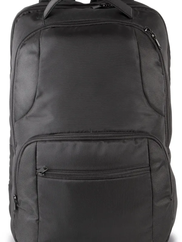 Business laptop backpack