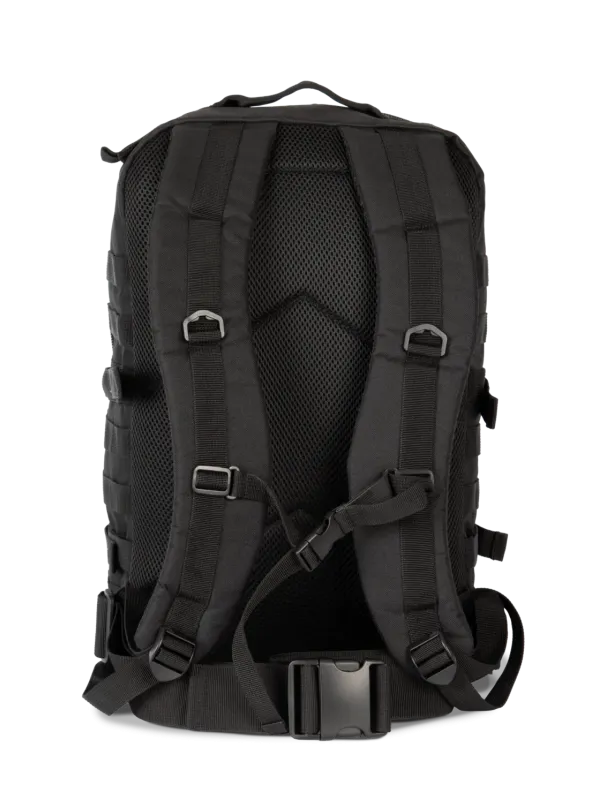 M.O.L.L.E. backpack