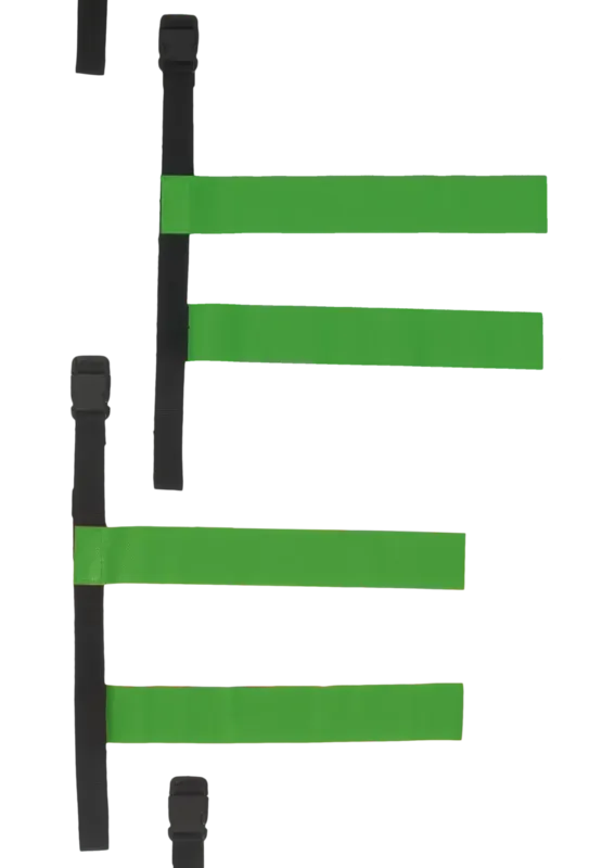 Tag belt