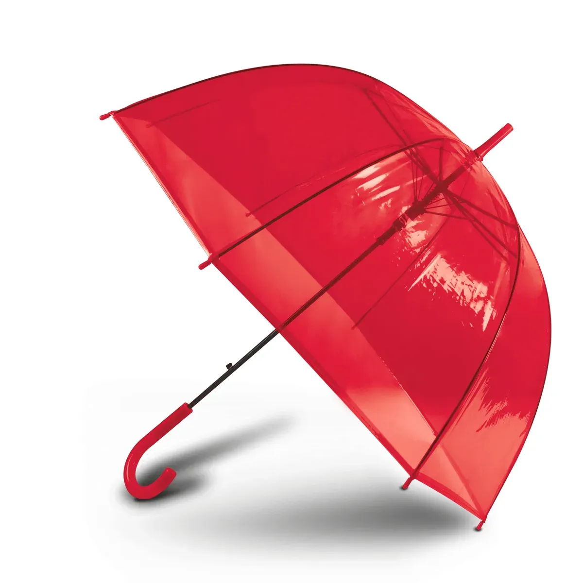 Transparent umbrella