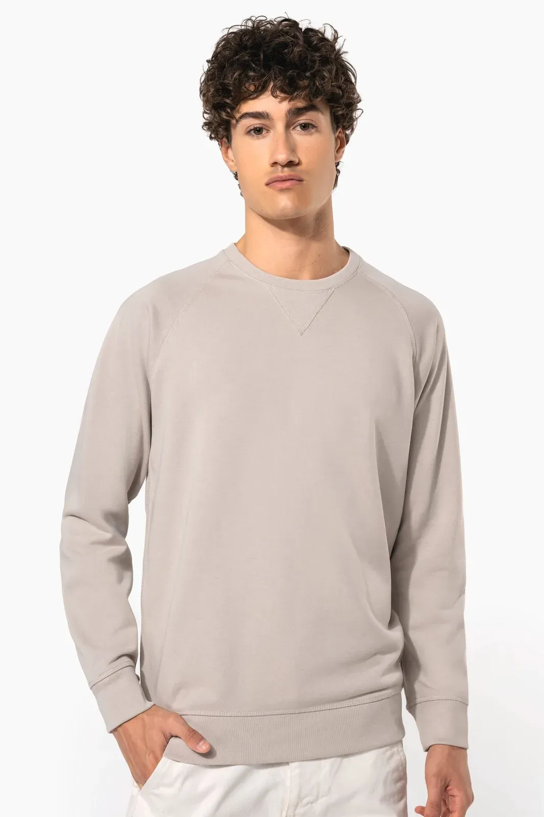 Men's organic cotton crew neck raglan sleeve sweatshirt