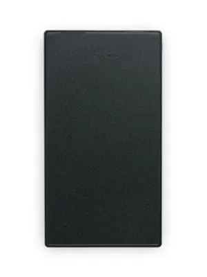 DENNING. 5.000 mAh slim stainless steel power bank