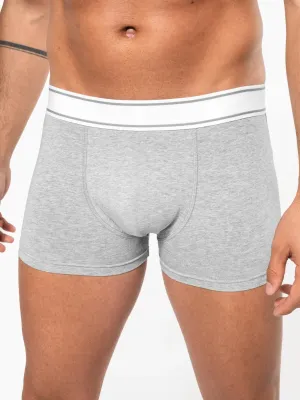 Boxer