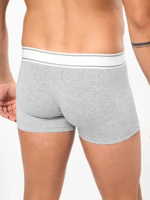 Boxer