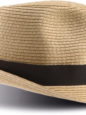 Chapeau Panama