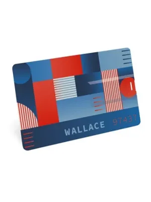 WALLACE 8GB. Clé USB 8GB UDP en ABS