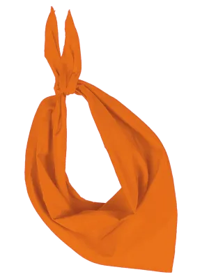 Fiesta - Bandana