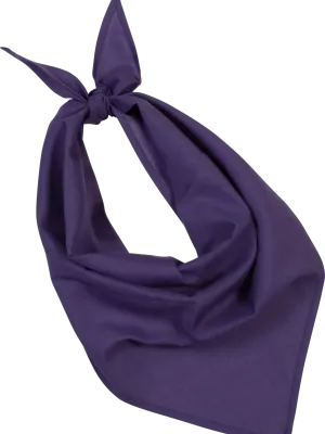 Fiesta - Bandana