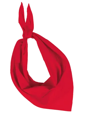 Fiesta - Bandana