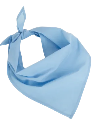Fiesta - Bandana