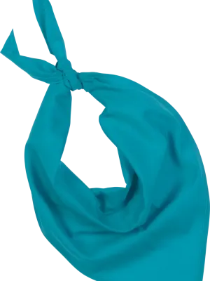 Fiesta - Bandana