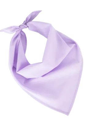 Fiesta - Bandana