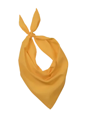 Fiesta - Bandana