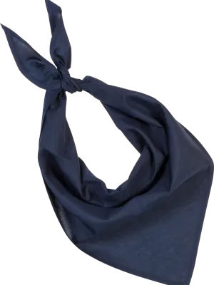 Fiesta - Bandana – Navy