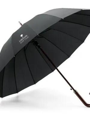 HEDI. 16 rib automatic opening umbrella in 190T pongee with automatic opening