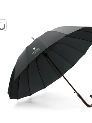 HEDI. 16 rib automatic opening umbrella in 190T pongee with automatic opening