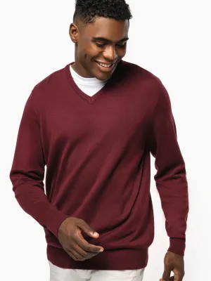 Men's V-neck jumper