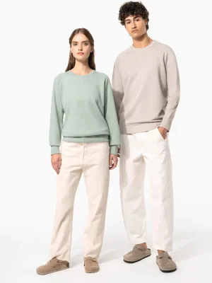 Men's organic cotton crew neck raglan sleeve sweatshirt