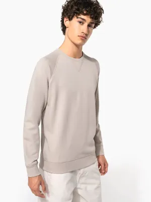 Men's organic cotton crew neck raglan sleeve sweatshirt