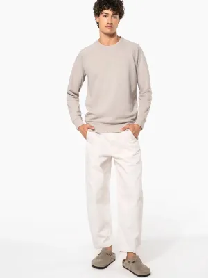 Men's organic cotton crew neck raglan sleeve sweatshirt