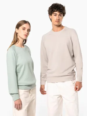 Men's organic cotton crew neck raglan sleeve sweatshirt