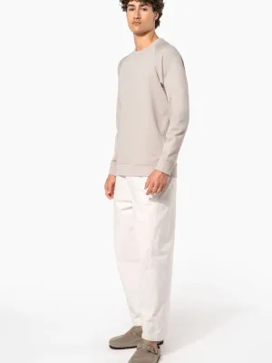 Men's organic cotton crew neck raglan sleeve sweatshirt