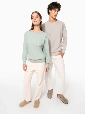Men's organic cotton crew neck raglan sleeve sweatshirt