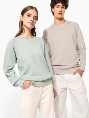 Men's organic cotton crew neck raglan sleeve sweatshirt