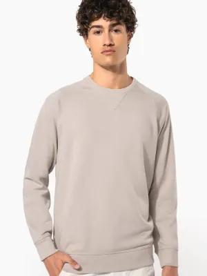 Men's organic cotton crew neck raglan sleeve sweatshirt