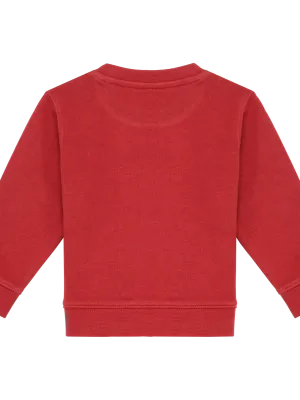 Sudadera ecológica de bebé – Terracotta Red