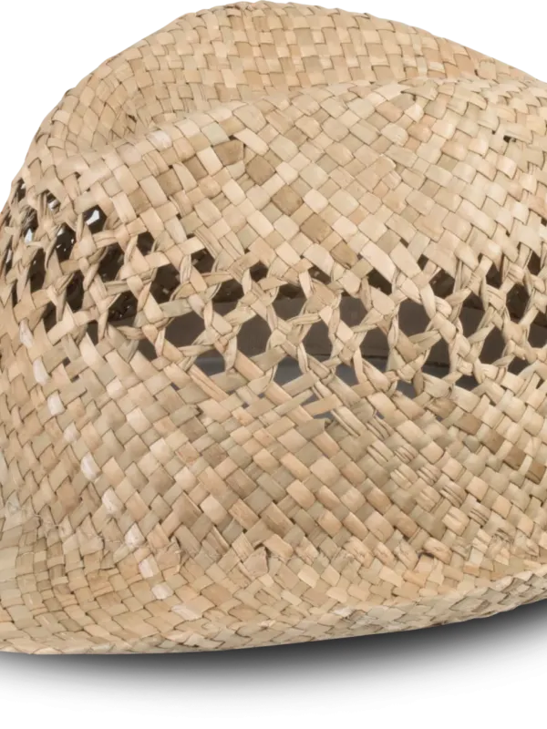Braided Panama hat