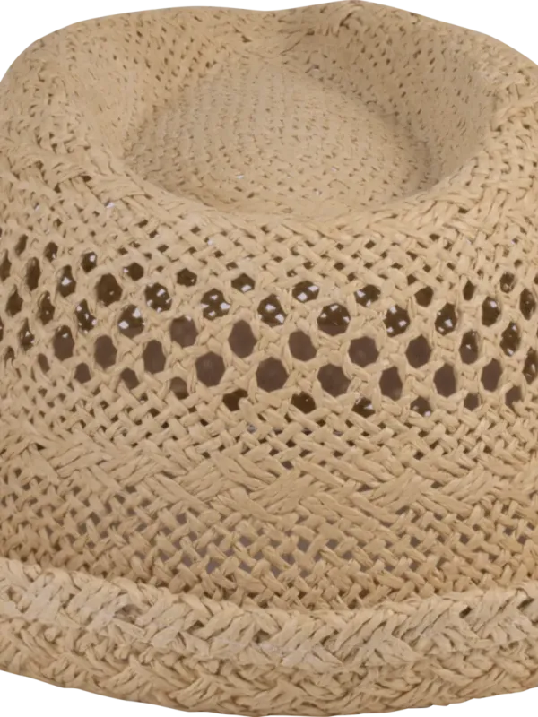 Chapeau style Panama