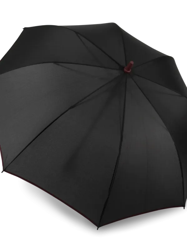 Automatic umbrella