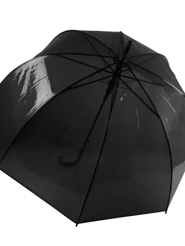 Parapluie transparent