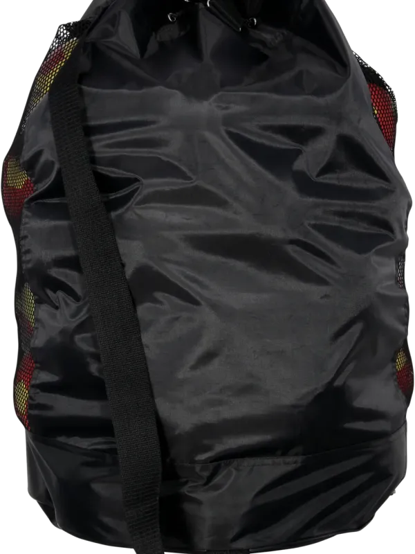Ball carry bag