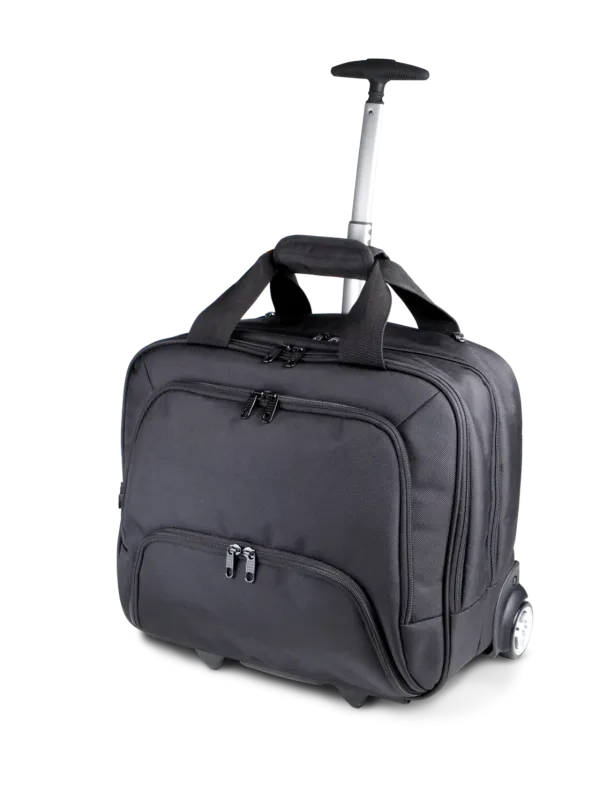 Laptop trolley case
