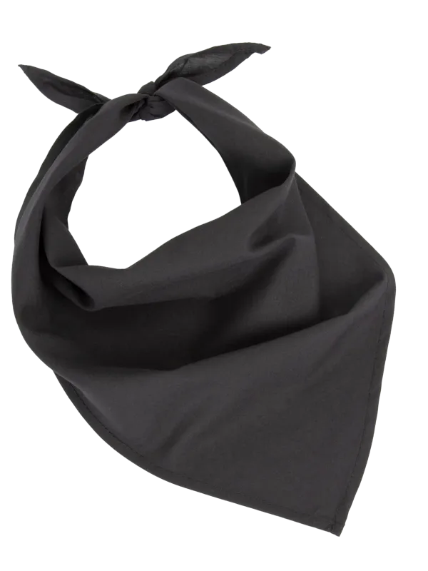 Produit Fiesta - Bandana Image