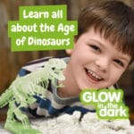 Fossil Excavation Kit I. Jeu éducatif pour enfants – Image 7