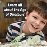 2 in 1 Fossil Excavation Kit I. Jeu éducatif pour enfants – Image 7