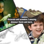 2 in 1 Fossil Excavation Kit II. Jeu éducatif livré avec un sac cadeau en papier kraft (90 g/m²) – Image 8