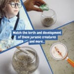 Jurassic Pets Kit II. Jeu éducatif livré avec un sac cadeau en papier kraft (115 g/m²) – Image 5
