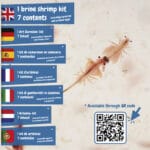 Jurassic Pets Kit II. Jeu éducatif livré avec un sac cadeau en papier kraft (115 g/m²) – Image 8